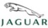 Jaguar category icon/image